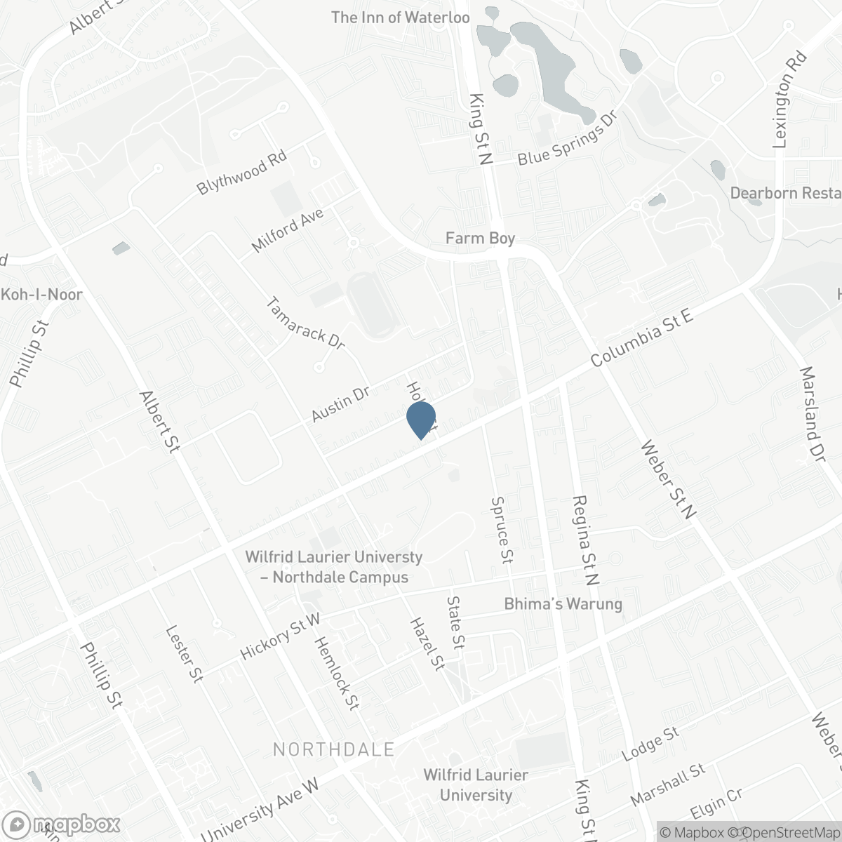 367 HOLLY STREET N, Waterloo, Ontario N2L 4G2